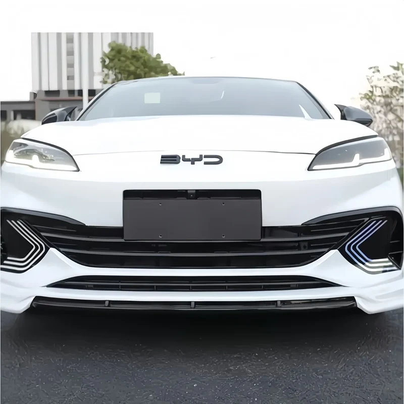 Grille Proof Net for BYD Seal 6 - Image 2
